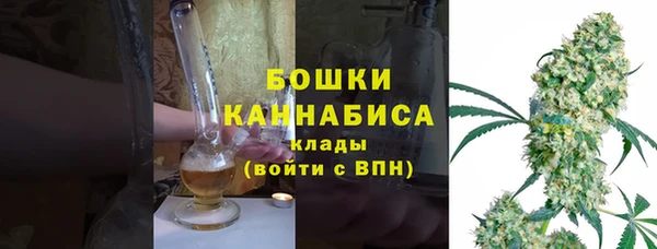 трава Белокуриха