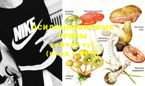 шишки Балабаново