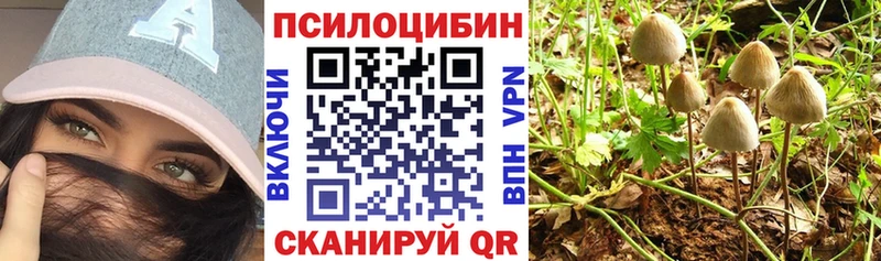 сколько стоит  Корсаков  Галлюциногенные грибы MAGIC MUSHROOMS 